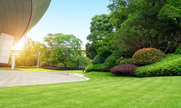 Cost of Commercial Lawn Mowing in Little Rock