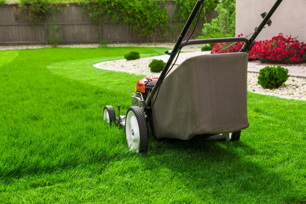 Cost of Home Yard Maintenance in Little Rock