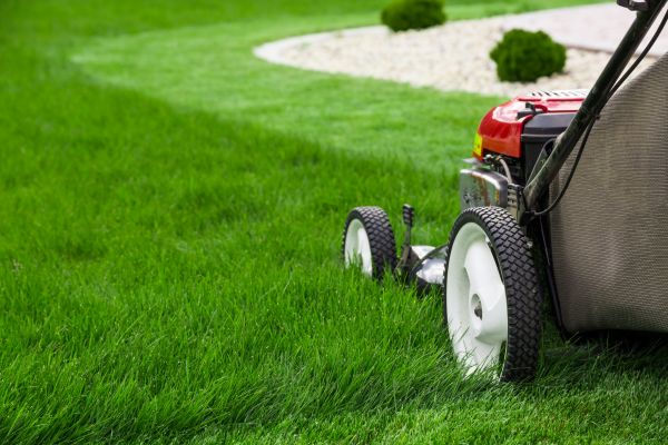 Cost of Mowing Service in Little Rock