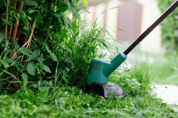Cost of Weed Whacking in Little Rock