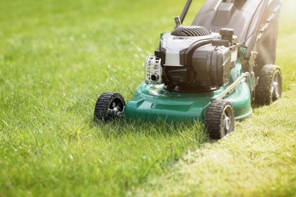 Cost of Yard Cutting in Little Rock