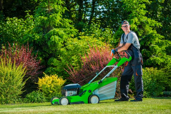 Cost of Yard Work Service in Little Rock