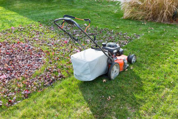 Cost of Seasonal Lawn Care in Little Rock