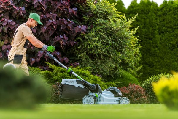 Cost of Lawn Management in Little Rock