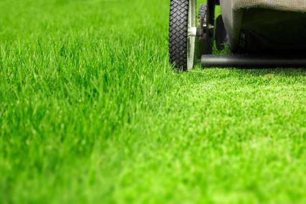 Cost of Weekly Lawn Care in Little Rock