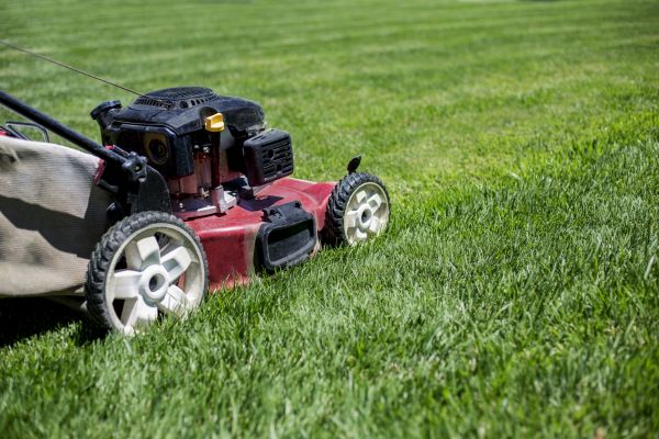 Cost of Routine Lawn Care in Little Rock