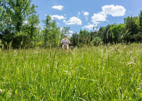 Cost of Long Grass Mowing in Little Rock