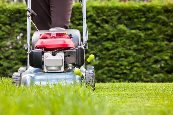 Cost of Grass Trimming Service in Little Rock