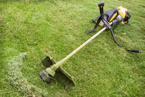 Cost of Hillside Weed Whacking in Little Rock