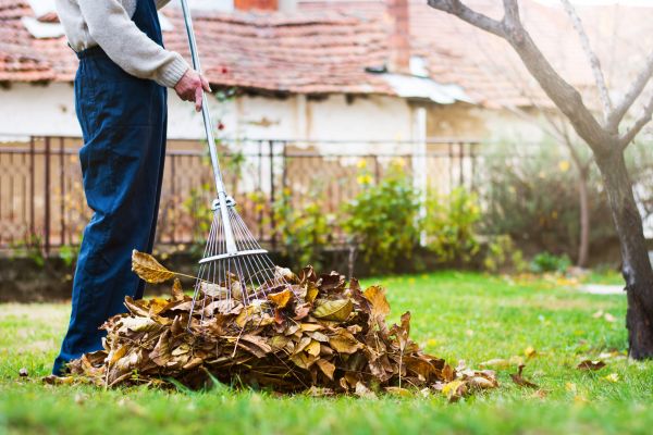 Cost of Routine Lawn Maintenance in Little Rock