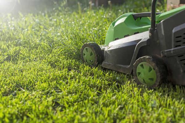 Cost of Lot Mowing in Little Rock