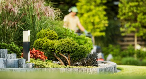 Cost of Residential Yard Maintenance in Little Rock