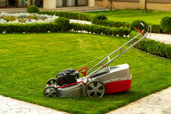 Cost of Business Grass Cutting in Little Rock