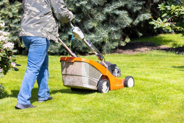 Cost of Springtime Lawn Care in Little Rock