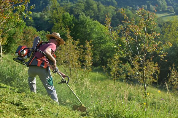 Cost of Slope Mowing in Little Rock