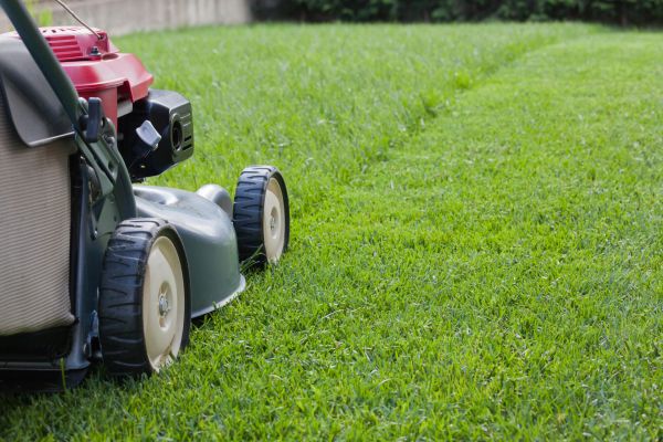 Cost of Spring Lawn Maintenance in Little Rock