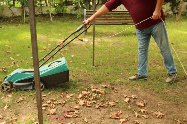 Cost of Leaves Mowing in Little Rock