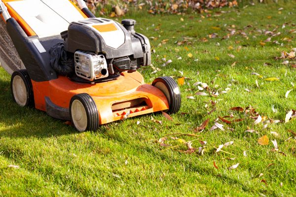 Cost of Fall Mowing in Little Rock