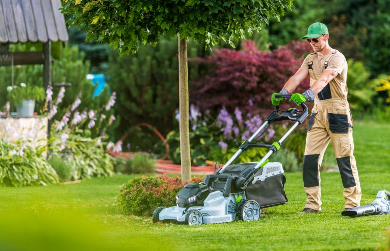 Business Lawn Maintenance detail