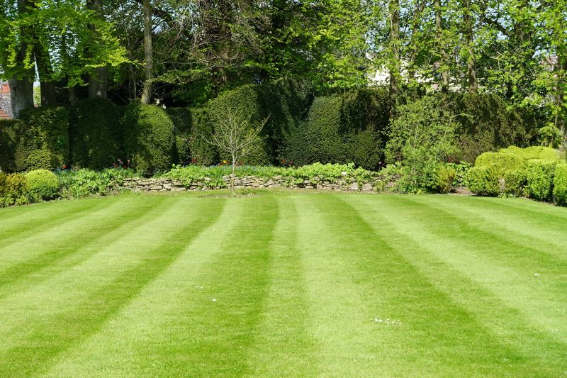 Landscape with Mowed Lawn