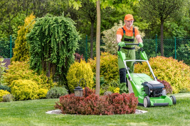 Consistent Lawn Maintenance